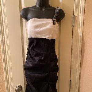 Blondie nites by stacy sklar